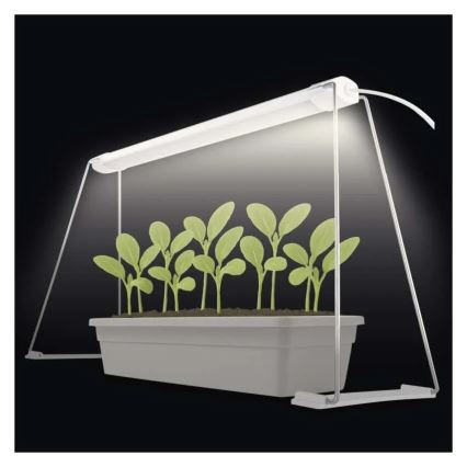 Notranja LED svetilka za gojenje rastlin GROW LED/15W/230V