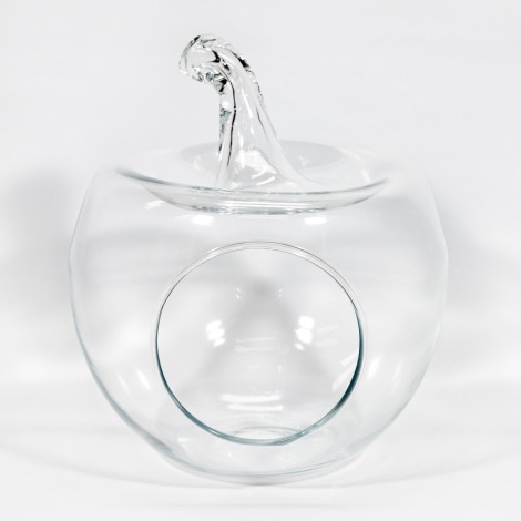 Okrasna steklena vaza Apple prozorna