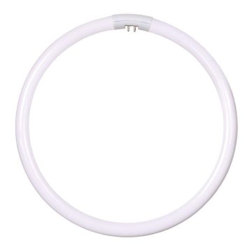 Okrogla fluorescentna cev T5 G10q/40W/230V 4200K - Fulgur 23326 29 cm