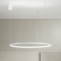 Ondaluce - LED zatemljiv lestenec na jekleni vrvici SOEL LED/38W/230V 3000/4000K, premer 80 cm, bela