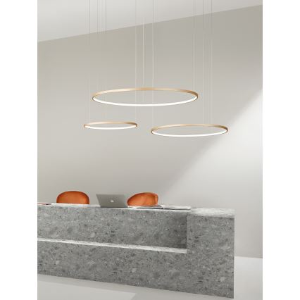Ondaluce - LED zatemljiv lestenec na kablu SOEL LED/28W/230V, premer 60 cm, v zlati barvi