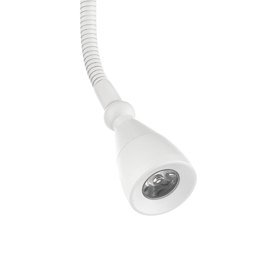 ONLI - LED Fleksibilna mala svetilka LEXI LED/1W/230V 4000K bela