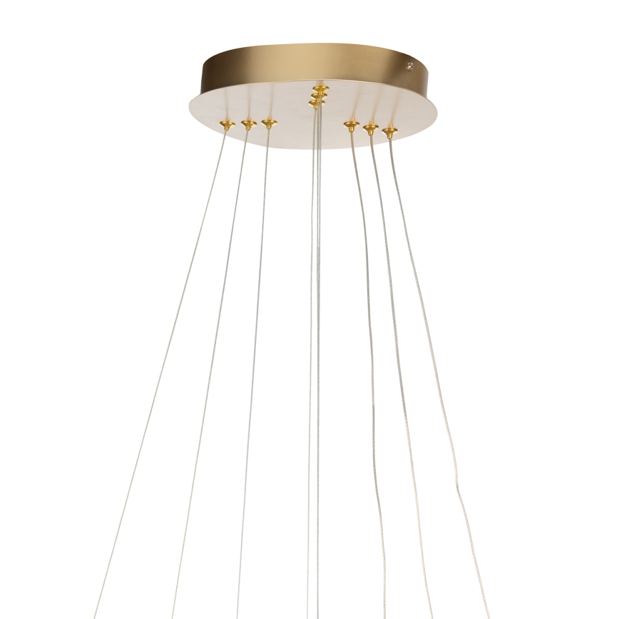ONLI - LED lestenec na kablu NOELIA LED/40W/230V zlati