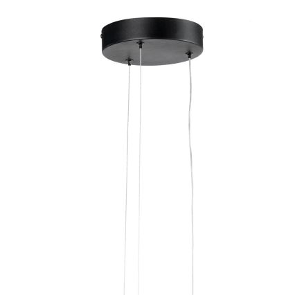 ONLI - LED Lestenec na vrvici DAFNE LED/30W/230W 4000K črna