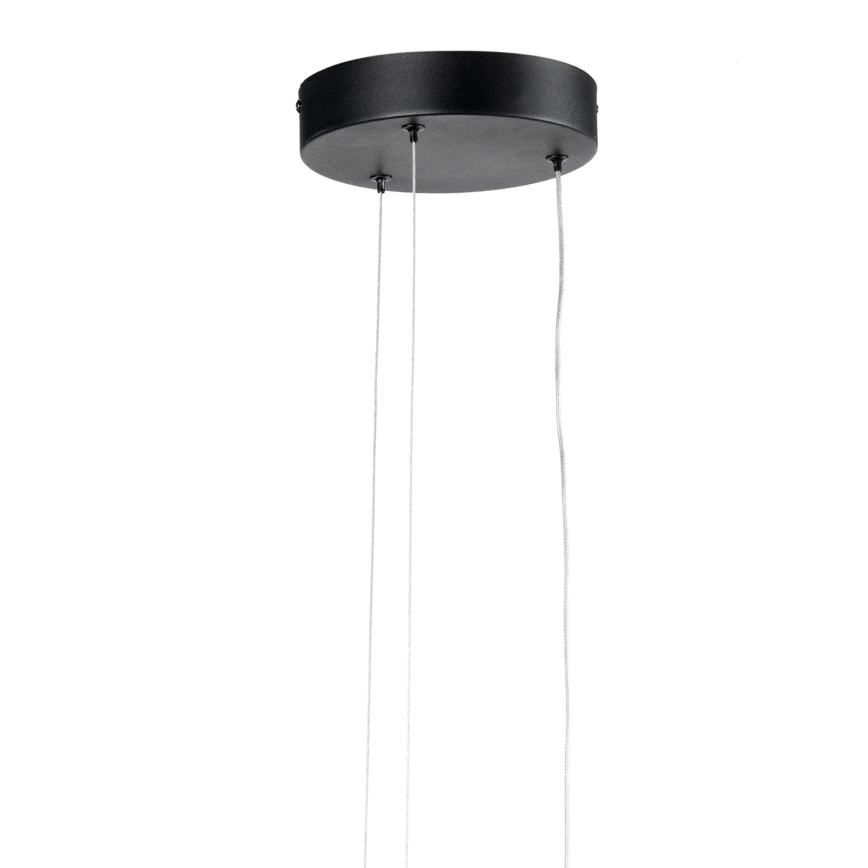 ONLI - LED Lestenec na vrvici DAFNE LED/30W/230W 4000K črna