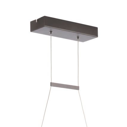 ONLI - LED Lestenec na vrvici DNA LED/24W/230V 4000K srebrna