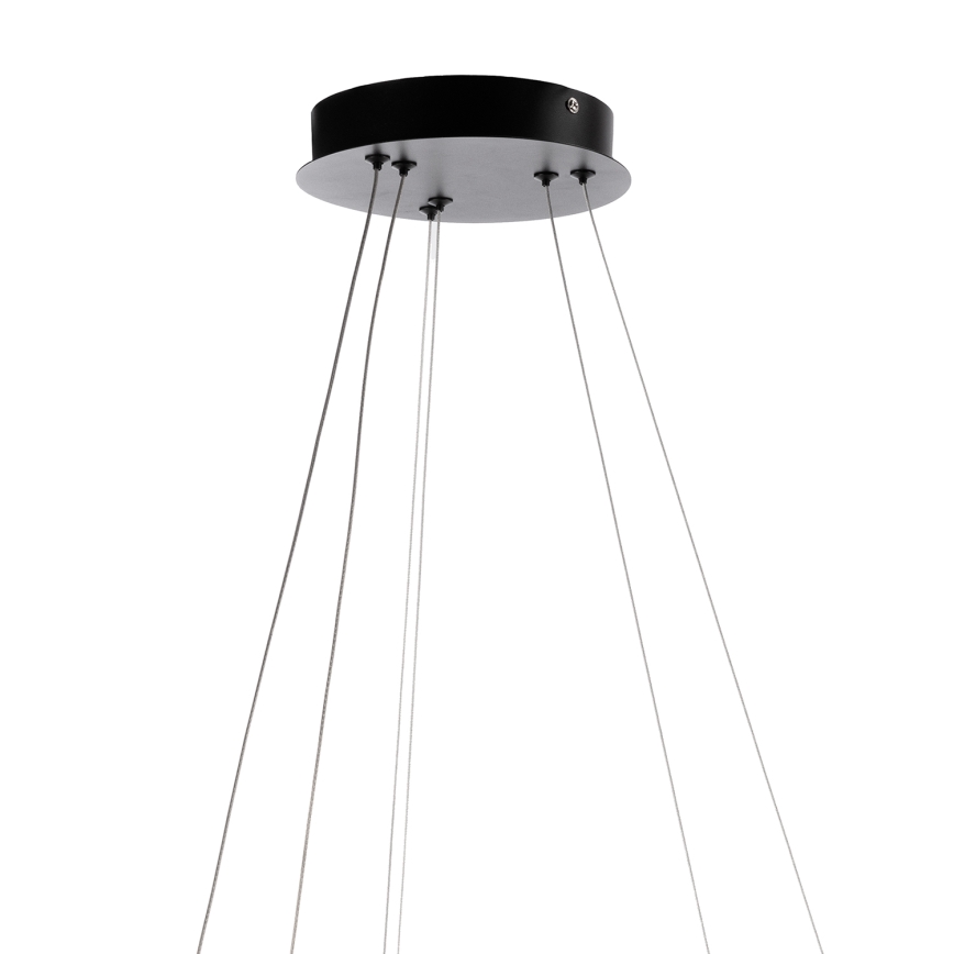 ONLI - LED lestenec na vrvici NOELIA LED/30W/230V črna