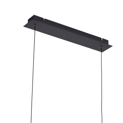 ONLI - LED Lestenec na vrvici SWING LED/30W/230V 4000K črna