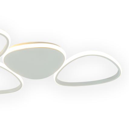 ONLI - LED Stropna svetilka ROMEO LED/48W/230V 4000K bela