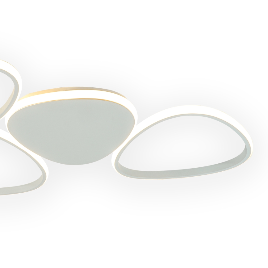 ONLI - LED Stropna svetilka ROMEO LED/48W/230V 4000K bela
