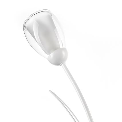 ONLI - Namizna svetilka ANTEA 2xE14/6W/230V 60 cm