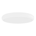 Open Design OR86218 - LED stropna svetilka PIATTO LED/55W/230V 3000/4500/6500K, premer 60 cm, bela
