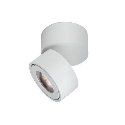 LED Zatemnitvena kopalnica Reflektor HARVEY LED/15W/230V IP65 bela