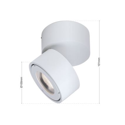 LED Zatemnitvena kopalnica Reflektor HARVEY LED/15W/230V IP65 bela