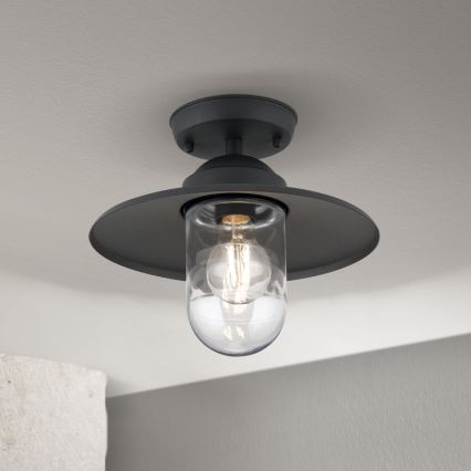 Zunanji nadgradni lestenec EDWARD 1xE27/60W/230V IP44 črna