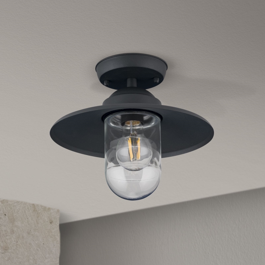 Zunanji nadgradni lestenec EDWARD 1xE27/60W/230V IP44 črna