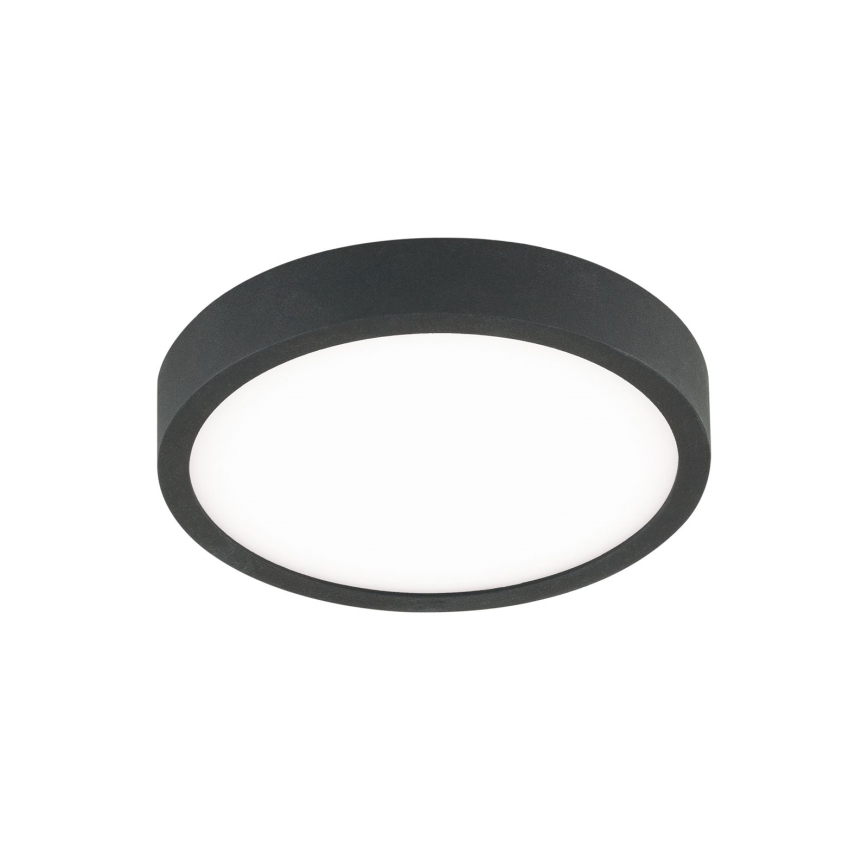 LED Stropna svetilka BULLY LED/12W/230V pr. 14 cm črna