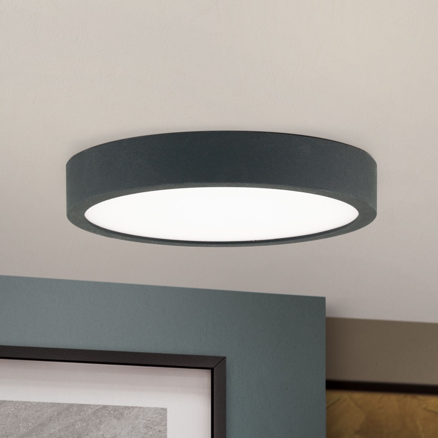 LED Stropna svetilka BULLY LED/12W/230V pr. 14 cm črna