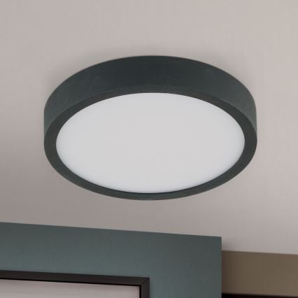 LED Stropna svetilka BULLY LED/12W/230V pr. 14 cm črna