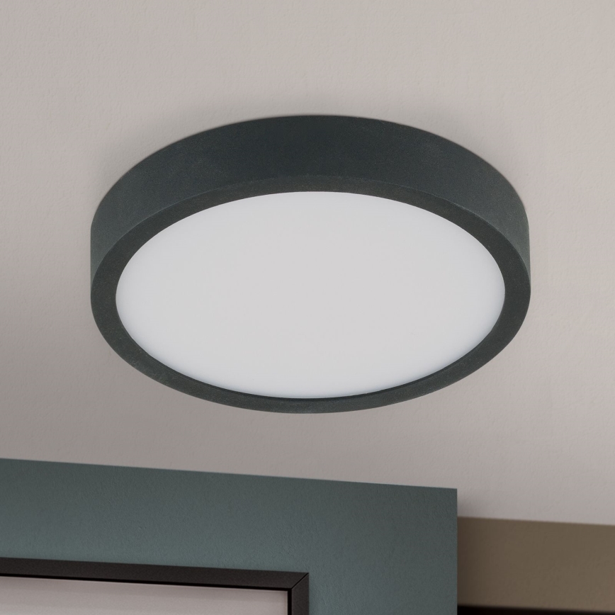 LED Stropna svetilka BULLY LED/12W/230V pr. 14 cm črna