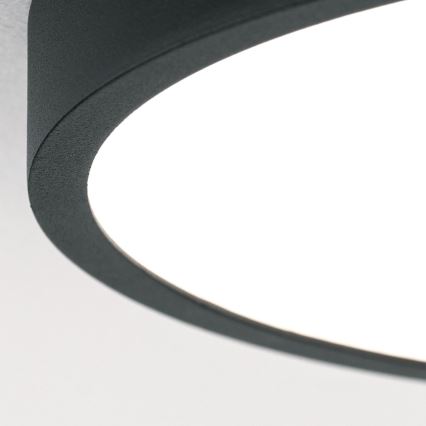 LED Stropna svetilka BULLY LED/12W/230V pr. 14 cm črna