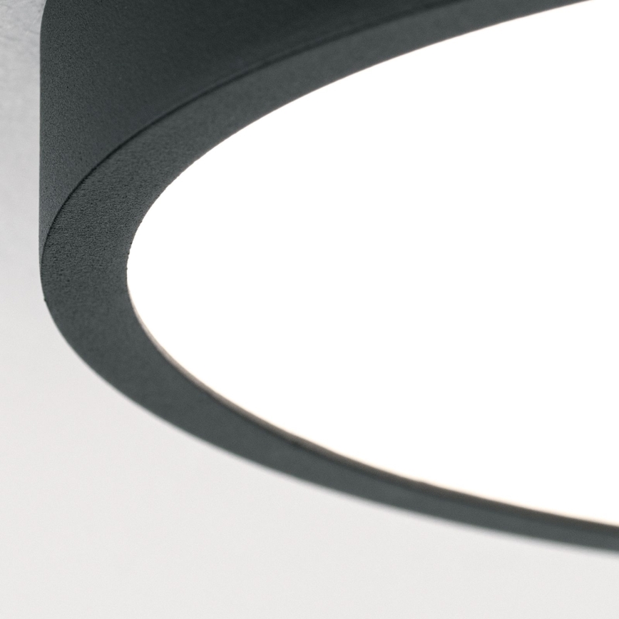 LED Stropna svetilka BULLY LED/12W/230V pr. 14 cm črna