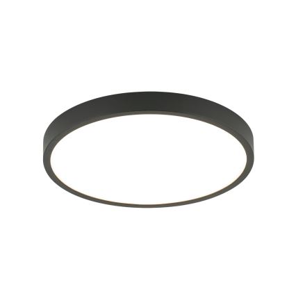 LED Stropna svetilka BULLY LED/24W/230V pr. 24 cm črna