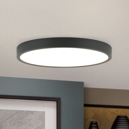 LED Stropna svetilka BULLY LED/24W/230V pr. 24 cm črna