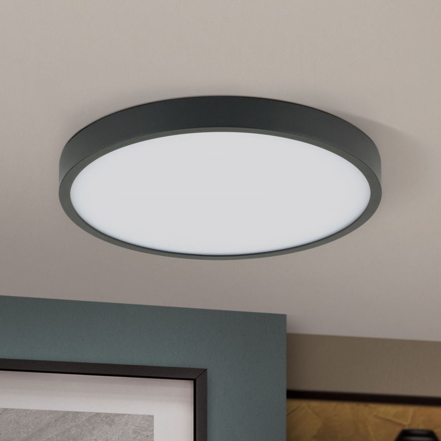 LED Stropna svetilka BULLY LED/24W/230V pr. 24 cm črna