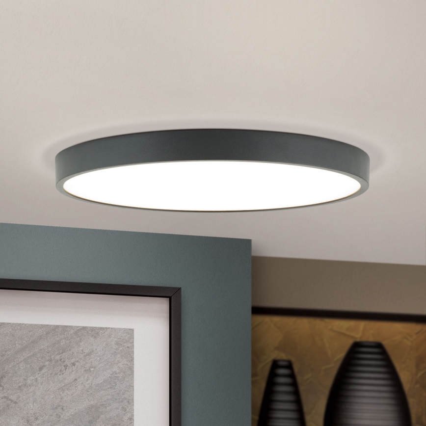 LED Stropna svetilka BULLY LED/28W/230V pr. 28 cm črna