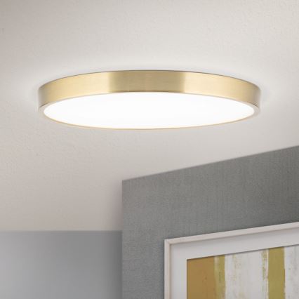 LED Stropna svetilka BULLY LED/28W/230V pr. 28 cm zlata