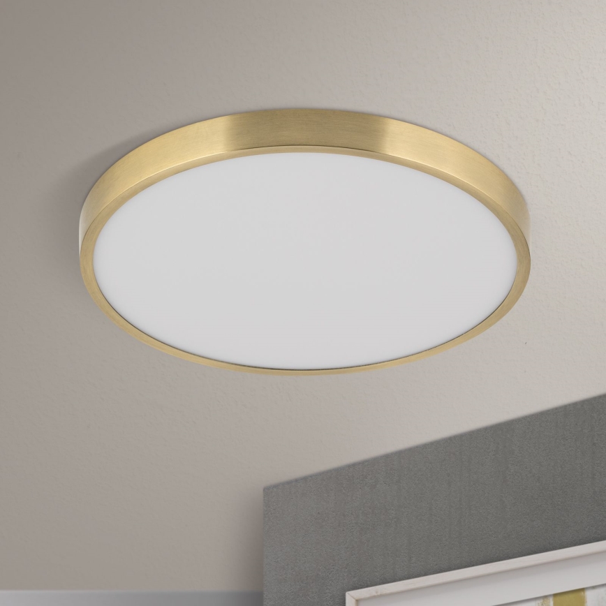 LED Stropna svetilka BULLY LED/28W/230V pr. 28 cm zlata