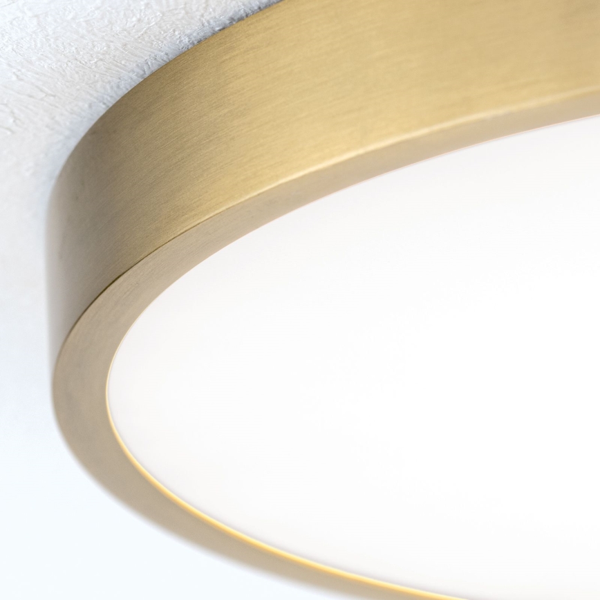 LED Stropna svetilka BULLY LED/28W/230V pr. 28 cm zlata