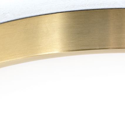 LED Stropna svetilka BULLY LED/28W/230V pr. 28 cm zlata