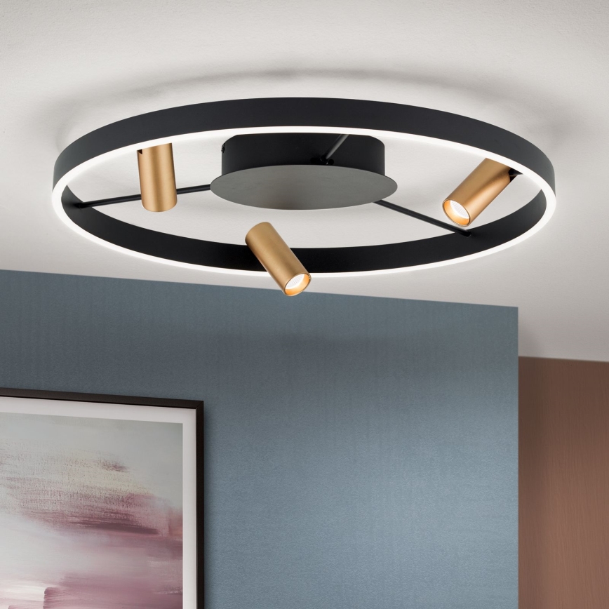 LED Zatemnitvena stropna svetilka BERLIN LED/50W/230V črna/zlata