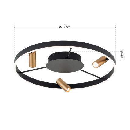 LED Zatemnitvena stropna svetilka BERLIN LED/50W/230V črna/zlata