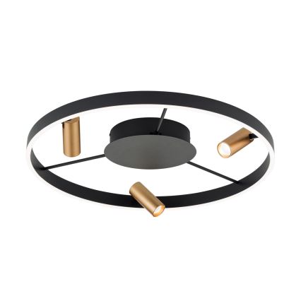 LED zatemnljiva stropna svetilka BERLIN LED/50W/230V črna/zlata