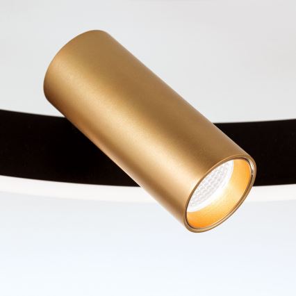 LED zatemnljiva stropna svetilka BERLIN LED/50W/230V črna/zlata