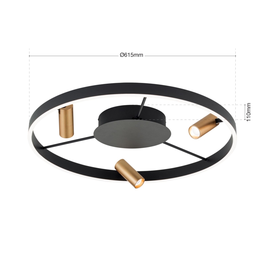 LED zatemnljiva stropna svetilka BERLIN LED/50W/230V črna/zlata