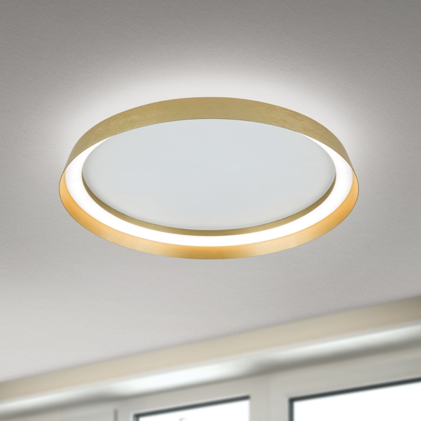 LED Zatemnitvena stropna svetilka MANTA LED/38W/230V 2700/3000/4000K pr. 45 cm zlata