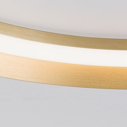 LED Zatemnitvena stropna svetilka MANTA LED/38W/230V 2700/3000/4000K pr. 45 cm zlata