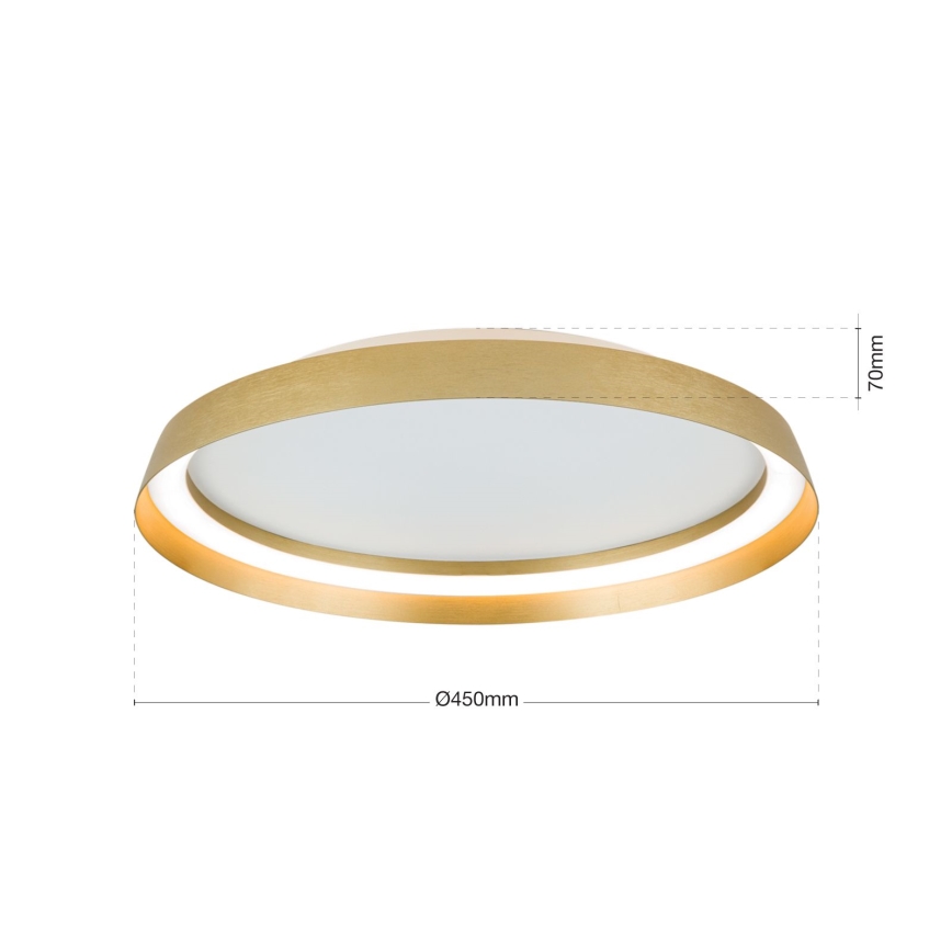 LED Zatemnitvena stropna svetilka MANTA LED/38W/230V 2700/3000/4000K pr. 45 cm zlata