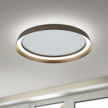 LED Zatemnitvena stropna svetilka MANTA LED/38W/230V 2700/3000/4000K pr. 45 cm rjava