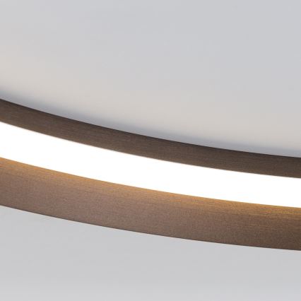 LED Zatemnitvena stropna svetilka MANTA LED/38W/230V 2700/3000/4000K pr. 45 cm rjava