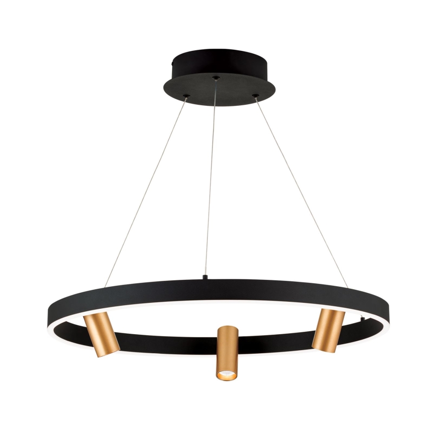 LED Zatemnitveni lestenec na vrvici BERLIN LED/50W/230V črna/zlata