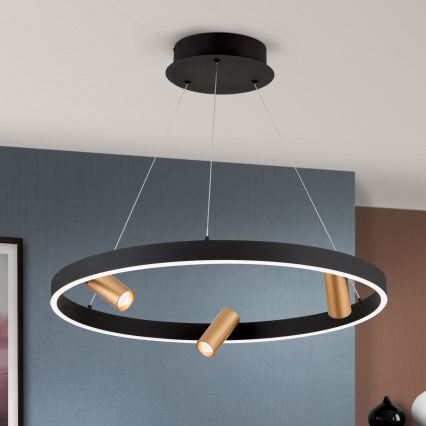 LED Zatemnitveni lestenec na vrvici BERLIN LED/50W/230V črna/zlata