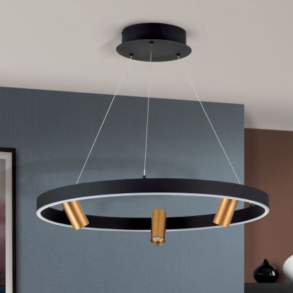 LED Zatemnitveni lestenec na vrvici BERLIN LED/50W/230V črna/zlata