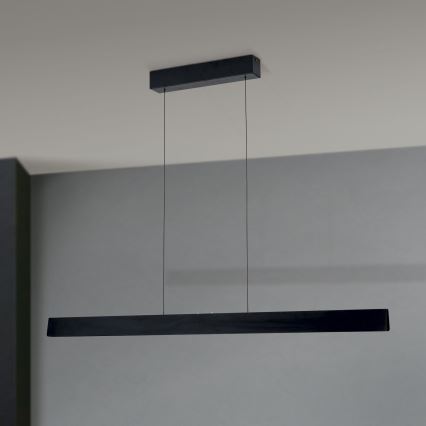 LED Zatemnitveni lestenec na vrvici TARA LED/44W/230V 2700/3800/4500/5700K črna