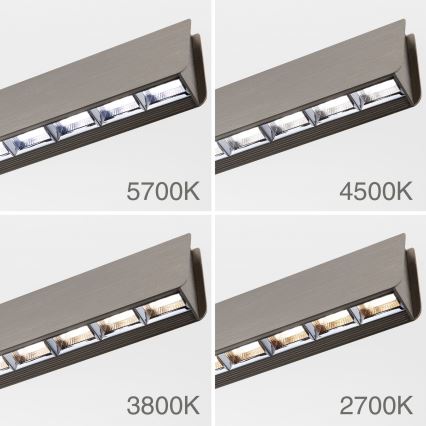 LED Zatemnitveni lestenec na vrvici TARA LED/44W/230V 2700/3800/4500/5700K mat krom
