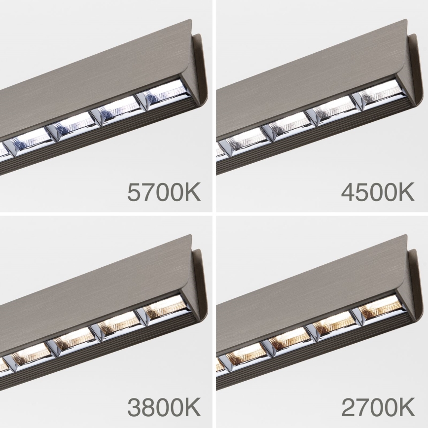 LED Zatemnitveni lestenec na vrvici TARA LED/44W/230V 2700/3800/4500/5700K mat krom